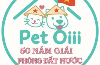 [🆕🇻🇳] Pet Oiii 🐶🦜 Top1Pets 🐱🐠 Pet Oiii đã cập nhật ảnh đại diện của mình.
, shares-0✔️ , likes-6❤️️ , date-2025-04-21 19:52:03🐶🐱🇻🇳🇻🇳🇻🇳📰🆕