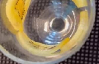 [☕️🇻🇳] Newland Coffee 🥤 Top1Coffee ☕️ D\u1ecbp l\u1ec5 30\/4 – 1\/5 n\u00e0y, Newland Coffee gi\u1edbi thi\u1ec7u m\u00f3n Sinh t\u1ed1 Vi\u1ec7t Qu\u1ea5t Kiwi \u201 , shares-0✔️ , likes-4❤️️ , date-2025-04-20 23:50:20🇻🇳🇻🇳🇻🇳📰🆕