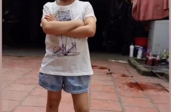 [🆕🇻🇳] Hiền Vinh Hvkids  (Xưởng may HV Kids) 😎❤️️⭐️ Cảm ơn khách hàng yêu quý đã yêu thương và ủng hộ e trên mọi công việc !ngày bán quần áo ,tối bán đất  ạ, khoe thành tích hôm na , shares-0✔️ , likes-0❤️️ , date-2025-04-27 18:55:55🇻🇳🇻🇳🇻🇳📰🆕