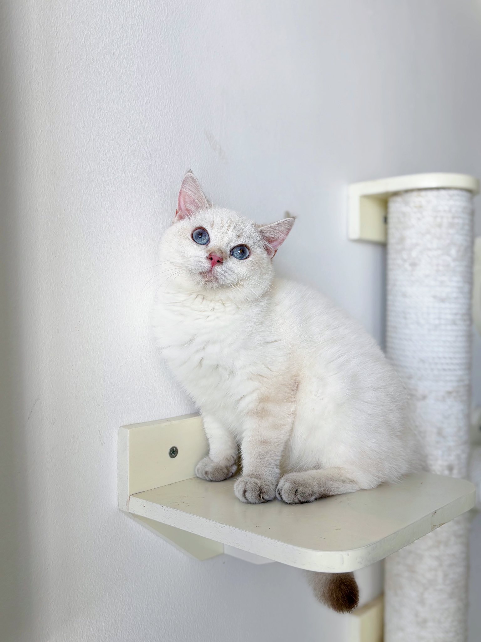 [🆕🇻🇳] Kamilan_Hàng nhập chính hãng 👕 Top1Fashion 👗  𝐊𝐀𝐌𝐈𝐋𝐀𝐍_𝐇𝐀̀𝐍𝐆 𝐍𝐇𝐀̣̂𝐏 𝐂𝐀𝐎 𝐂𝐀̂́𝐏
Hotline/zalo: 0913702768
Showroom:Số 8, 63/64, 1194 Đường Láng, Hà Nội
Giao hàng – Kiểm tra – Thanh toán
Ship hàng toàn quốc , shares-1✔️ , likes-3❤️️ , date-2025-05-05 02:40:20🇻🇳🇻🇳🇻🇳📰🆕