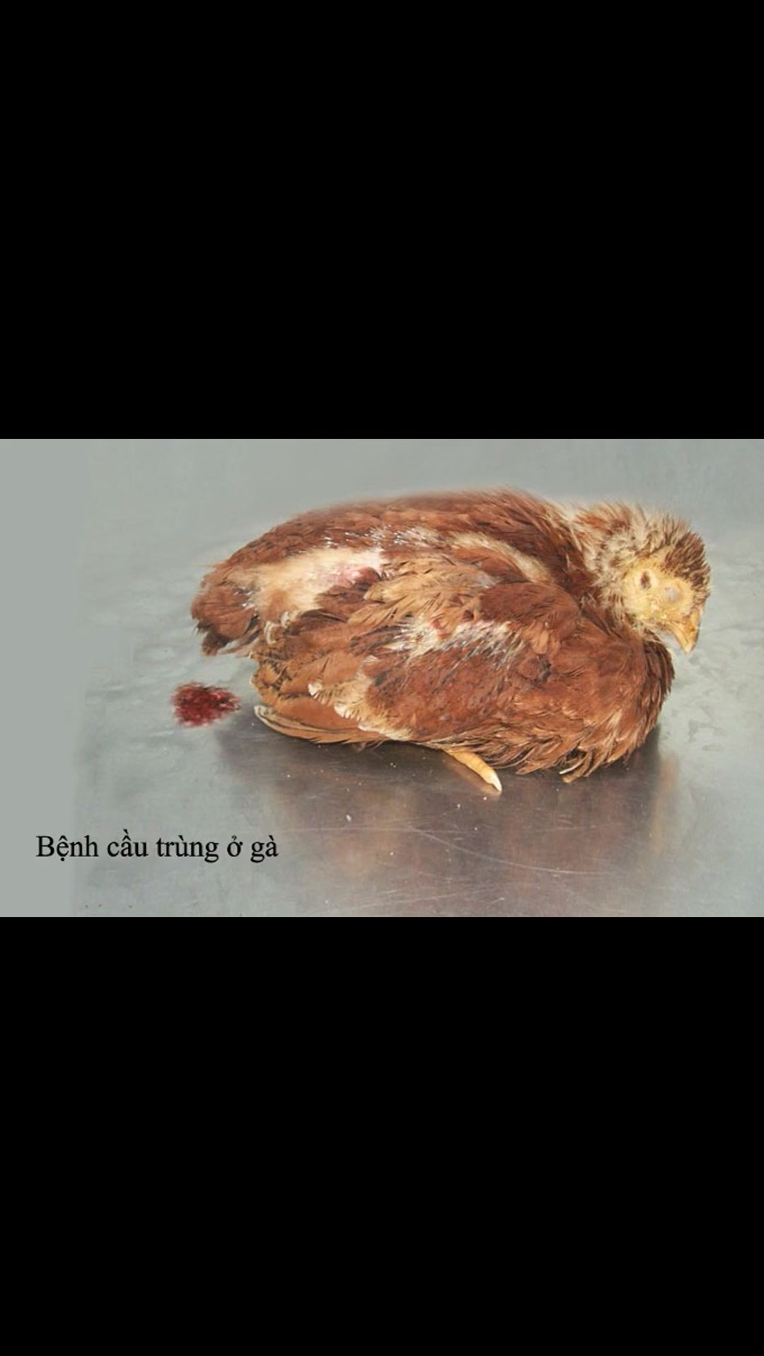 [🆕🇻🇳] Phương Thảo Shop – Mang tới cái đẹp cho phái nữ 👕 Top1Fashion 👗  Bình luận đã bị tắt cho bài viết này.
, shares-0✔️ , likes-0❤️️ , date-2025-04-18 20:53:35🇻🇳🇻🇳🇻🇳📰🆕