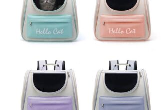 [🆕🇻🇳] HuMi Pet  (Siêu Thị Thú Cưng) 🐶🦜 Top1Pets 🐱🐠 Balo vận chuyển chó mèo Hello Cat – Balo vận chuyển chó mèo size lớn
+ Balo cho mèo :  , shares-0✔️ , likes-1❤️️ , date-2025-04-23 23:12:26🐶🐱🇻🇳🇻🇳🇻🇳📰🆕