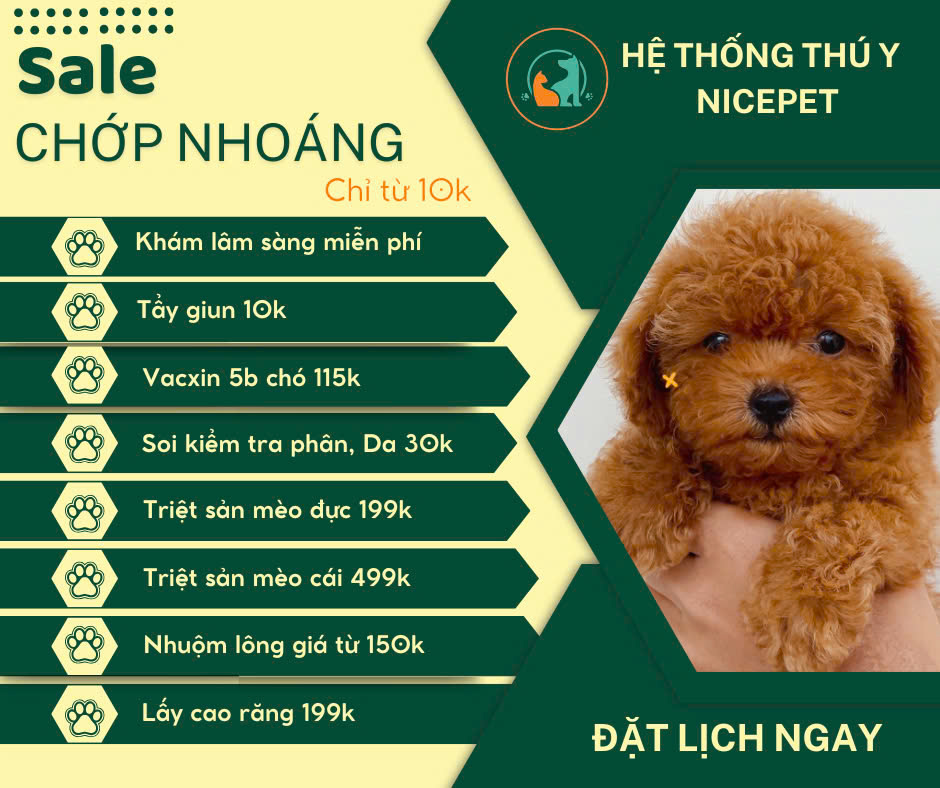 [🆕🇻🇳] Bệnh Viện thú y Nicepet 15 Hồng Tiến 🐶🦜 Top1Pets 🐱🐠  SALE CHỚP NHOÁNG – DỊCH VỤ THÚ Y SIÊU ƯU ĐÃI!
Bạn đang tìm kiếm dịch vụ chăm sóc sức khỏe tốt nhất cho thú cưng với giá cực ưu đãi? Hãy đến ngay” Hệ Thố , shares-0✔️ , likes-0❤️️ , date-2025-03-04 23:46:41🐶🐱🇻🇳🇻🇳🇻🇳📰🆕