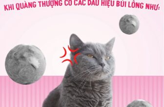 [🆕🇻🇳] Maxime Việt Nam – Pet food supplier 🐶🦜 Top1Pets 🐱🐠 NGĂN CHẶN TỪ SỚM DẤU HIỆU TẮC BÚI LÔNG LÀM BOSS CHÍU KHỌSen ơi, nhớ lưu ý kỹ các dấu hiệu tắt búi lông như
Nôn, ho liên tục: Boss đang “beatbox” bất đắ , shares-0✔️ , likes-10❤️️ , date-2025-04-27 17:18:08🐶🐱🇻🇳🇻🇳🇻🇳📰🆕