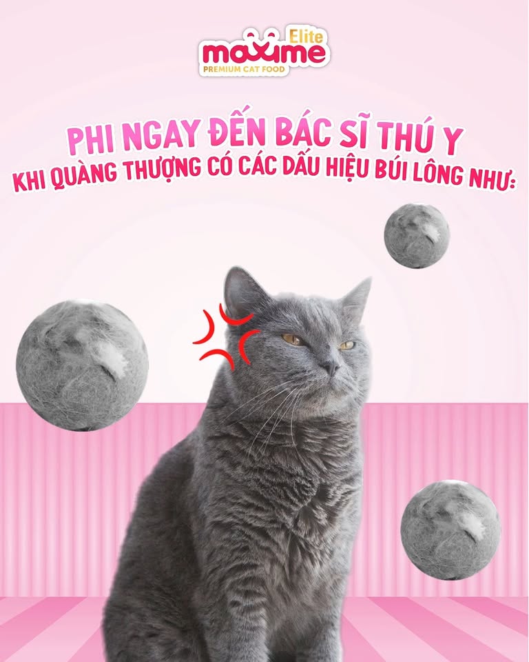 [🆕🇻🇳] Maxime Việt Nam – Pet food supplier 🐶🦜 Top1Pets 🐱🐠 NGĂN CHẶN TỪ SỚM DẤU HIỆU TẮC BÚI LÔNG LÀM BOSS CHÍU KHỌSen ơi, nhớ lưu ý kỹ các dấu hiệu tắt búi lông như
Nôn, ho liên tục: Boss đang “beatbox” bất đắ , shares-0✔️ , likes-10❤️️ , date-2025-04-27 17:18:08🐶🐱🇻🇳🇻🇳🇻🇳📰🆕