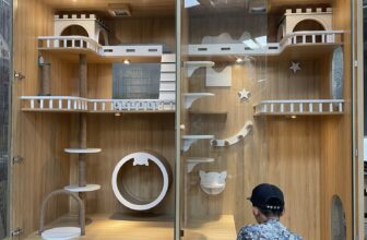 [🆕🇻🇳] NHÀ GỖ CHÓ MÈO 🐶🦜 Top1Pets 🐱🐠 Bạn đang tìm một nơi vừa đẹp, vừa chắc chắn cho mèo cưng?
Hãy để chúng tôi mang đến cho boss nhà bạn một ngôi nhà thực thụ – sang trọng, ấm áp và cực kỳ a , shares-0✔️ , likes-0❤️️ , date-2025-05-09 23:13:10🐶🐱🇻🇳🇻🇳🇻🇳📰🆕