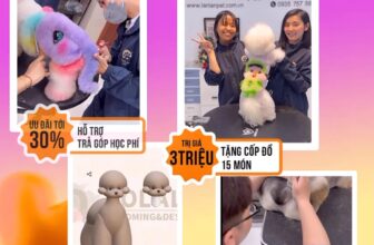 [🆕🇻🇳] Lanlan Pet – Nơi bạn hoàn toàn an tâm gửi gắm thú cưng của mình 🐶🦜 Top1Pets 🐱🐠 (English below)\u2b07\ufe0f\nTH\u1edcI \u0110I\u1ec2M V\u00c0NG \u0110\u1ec2 H\u1eccC NGH\u1ec0 GROOMING, T\u1eb6NG KHO\u00c1 H\u1eccC V\u1edaI 2 GI\u1ea2N , shares-9✔️ , likes-55❤️️ , date-2025-05-21 15:40:25🐶🐱🇻🇳🇻🇳🇻🇳📰🆕