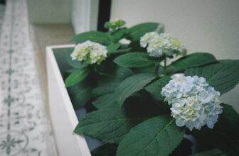 [☕️🇻🇳]  Loi’s Specialty Coffee – Purity🥤 Top1Coffee ☕️ THÔNG BÁO ĐÓNG QUÁN VÀI NGÀYDo hoạt động nội bộ của quán, L2 by LOI’S xin phép đóng quán vài ngày.
Chúng mình sẽ mở cửa bình  , shares-0✔️ , likes-6❤️️ , date-2025-05-22 17:23:20🇻🇳🇻🇳🇻🇳📰🆕