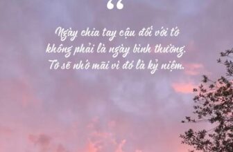 [🆕🇻🇳] Pet Time Vietnam – Dịch vụ spa, hotel và phụ kiện cho chó mèo 🐶🦜 Top1Pets 🐱🐠 LỜI CẢM ƠN VÀ TẠM BIỆT
Kính gửi Quý khách hàng thân yêu.
Pet Time xin trân trọng thông báo: Pet Time sẽ chính thức dừng hoạt động từ ngày 01/06.
Chúng em  , shares-0✔️ , likes-12❤️️ , date-2025-05-28 19:10:15🐶🐱🇻🇳🇻🇳🇻🇳📰🆕