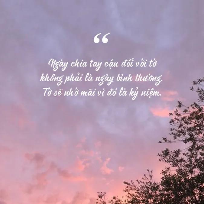 [🆕🇻🇳] Pet Time Vietnam – Dịch vụ spa, hotel và phụ kiện cho chó mèo 🐶🦜 Top1Pets 🐱🐠 LỜI CẢM ƠN VÀ TẠM BIỆT
Kính gửi Quý khách hàng thân yêu.
Pet Time xin trân trọng thông báo: Pet Time sẽ chính thức dừng hoạt động từ ngày 01/06.
Chúng em  , shares-0✔️ , likes-12❤️️ , date-2025-05-28 19:10:15🐶🐱🇻🇳🇻🇳🇻🇳📰🆕