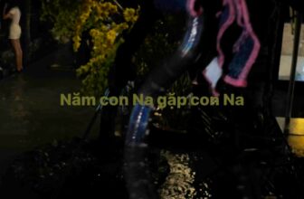 [☕️🇻🇳] Cà phê Ngọc Hà- Cafe sân vườn 🥤 Top1Coffee ☕️ Mưa nhiều có cá có na , shares-0✔️ , likes-0❤️️ , date-2025-05-28 22:30:53🇻🇳🇻🇳🇻🇳📰🆕