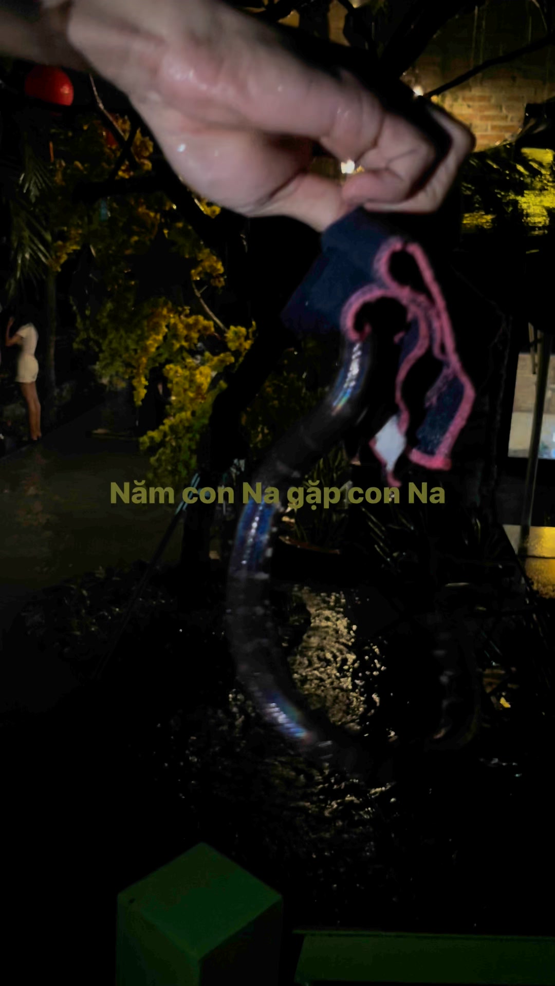 [☕️🇻🇳] Cà phê Ngọc Hà- Cafe sân vườn 🥤 Top1Coffee ☕️ Mưa nhiều có cá có na , shares-0✔️ , likes-0❤️️ , date-2025-05-28 22:30:53🇻🇳🇻🇳🇻🇳📰🆕