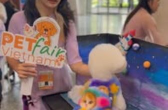 [🆕🇻🇳] Lanlan Pet – Nơi bạn hoàn toàn an tâm gửi gắm thú cưng của mình 🐶🦜 Top1Pets 🐱🐠 Bình luận đã bị tắt cho bài viết này.
, shares-0✔️ , likes-4❤️️ , date-2025-06-27 00:35:19🐶🐱🇻🇳🇻🇳🇻🇳📰🆕