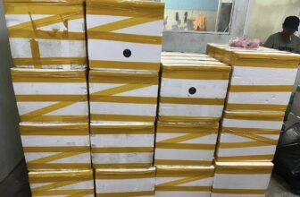 [🆕🇻🇳] TÔM HÙM KHÁNH HOÀ – Chuyên sỉ lẻ, tôm hùm sống, tôm hùm ngộp, tôm hùm cấp đông, số lượng lớn 🍔 Top1Food  🍜  Tôm Hùm Xanh Sống.
Chuyên cung cấp Sỉ, Lẻ Tôm Hùm, xuất Khẫu và nội
Địa. Hàng bao sống Khoẻ
Giá Tại Bè, Giá Tại Hồ    #Giá_6xx   #7xxsize: 100gr-2 , shares-2✔️ , likes-83❤️️ , date-2025-06-09 21:27:00🇻🇳🇻🇳🇻🇳📰🆕