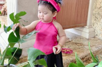 [🆕🇻🇳]  Sweetie by Josie – Thời trang cho bé 🧑‍🧒❤️️👶⭐️  Hoá thân con yêu nhà bạn thành cô thôn nữ làng bên trong bộ yếm đào.
Set chỉ 69k gồm yếm, váy và mấn
Size 1: 8-10kg
Size 2: 10-12kg
Size 3: 12-14kg
, shares-0✔️ , likes-5❤️️ , date-2025-05-05 03:03:06🇻🇳🇻🇳🇻🇳📰🆕