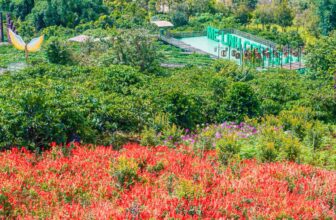 [☕️🇻🇳] Mê Linh Coffee Garden 🥤 Top1Coffee ☕️  Thả mình vào bình yên tại Mê Linh Coffee GardenNơi bạn tìm thấy sự thư thái giữa thiên nhiên xanh mát, hít thở hương hoa v , shares-6✔️ , likes-38❤️️ , date-2025-06-25 17:39:58🇻🇳🇻🇳🇻🇳📰🆕
