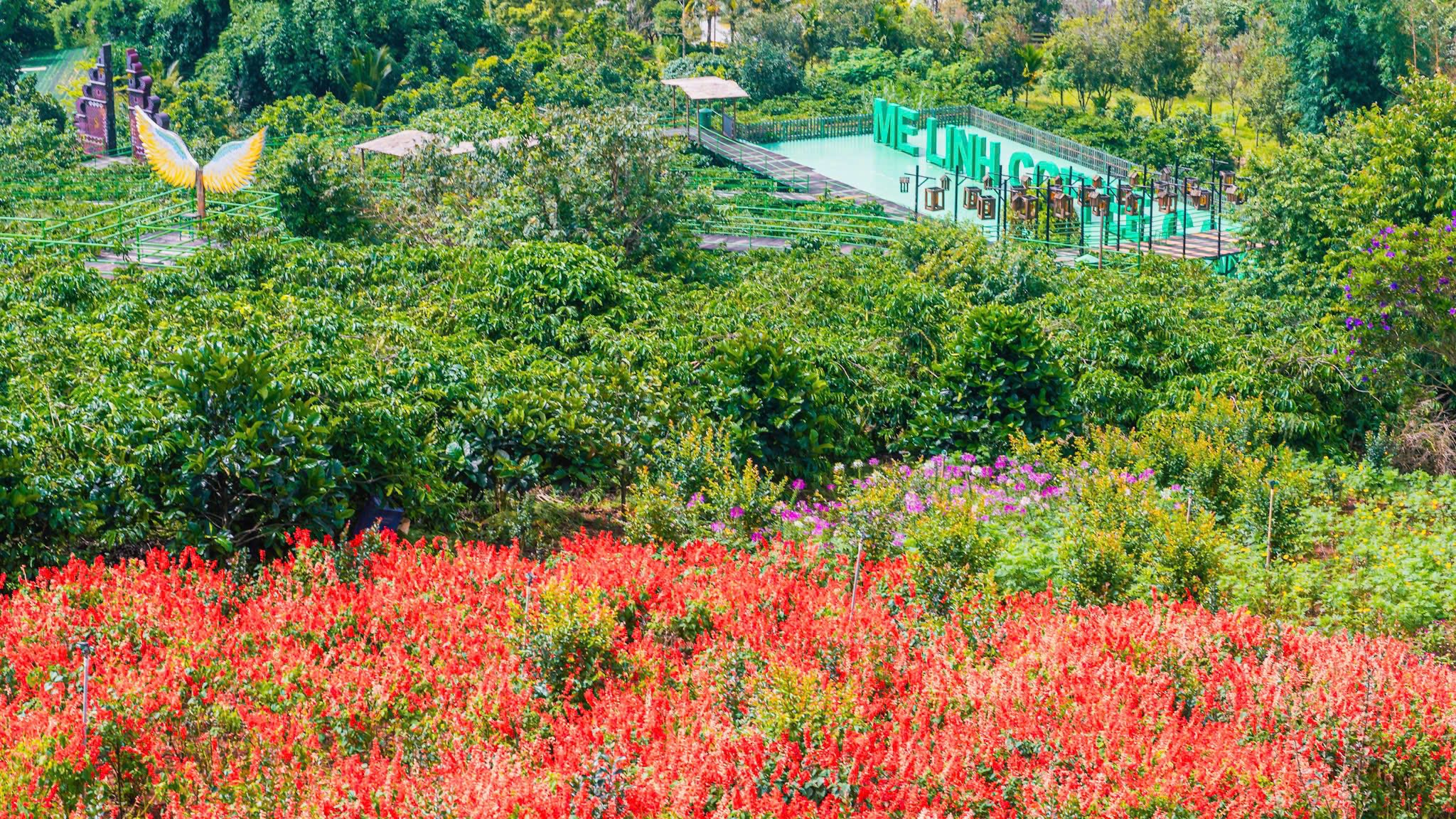[☕️🇻🇳] Mê Linh Coffee Garden 🥤 Top1Coffee ☕️  Thả mình vào bình yên tại Mê Linh Coffee GardenNơi bạn tìm thấy sự thư thái giữa thiên nhiên xanh mát, hít thở hương hoa v , shares-6✔️ , likes-38❤️️ , date-2025-06-25 17:39:58🇻🇳🇻🇳🇻🇳📰🆕