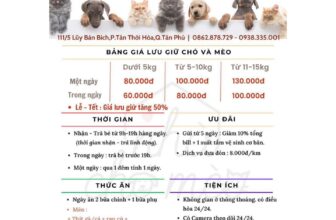 [🆕🇻🇳] Nhà Chó Mèo – Pet Shop – Pet Hotel  🐶🦜 Top1Pets 🐱🐠 Lễ này không tăng giá mà bé ở từ 5 ngày còn được giảm 10%
𝐊𝐡𝐨̂𝐧𝐠 𝐥𝐨 𝐭𝐨̂́𝐧 𝐭𝐡𝐞̂𝐦 𝐩𝐡𝐢́ 𝐤𝐡𝐢 𝐭𝐫𝐞̂̃ 𝐠𝐢𝐨̛̀ 𝐧𝐡𝐚̣̂𝐧 𝐥𝐚̣𝐢 𝐁𝐎𝐒𝐒 𝐧𝐡𝐞 𝐒𝐄𝐍.
=> TẠI SAO LẠI GỞI BOSS CỦ , shares-0✔️ , likes-6❤️️ , date-2025-08-25 14:50:11🐶🐱🇻🇳🇻🇳🇻🇳📰🆕