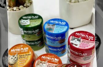 [🆕🇻🇳] ONE PET – Spa & Hotel Thú Cưng 🐶🦜 Top1Pets 🐱🐠  Pate Nutri Plan cá ngừ mix là thức ăn dành cho mèo mọi lứa tuổi, được kết hợp với các loại nguyên liệu khác như cá hôi, cá cơm, gà, cua,… cung cấp đầy đ , shares-0✔️ , likes-0❤️️ , date-2025-07-11 18:27:30🐶🐱🇻🇳🇻🇳🇻🇳📰🆕