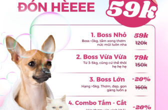 [🆕🇻🇳] Bệnh Viện Thú Y Vetcenter – Hà Nội 🐶🦜 Top1Pets 🐱🐠  TẮM THƠM ĐÓN HÈ — CHỈ TỪ 59K
Boss sạch thơm, ba mẹ nhẹ lòng, giá thì “iu” xỉu luôn nha!BẢNG GIÁ SIÊU MỀM:
Boss 5kg: Giảm hẳn 20% luôn áCOMBO ƯU  , shares-2✔️ , likes-16❤️️ , date-2025-07-11 03:00:35🐶🐱🇻🇳🇻🇳🇻🇳📰🆕