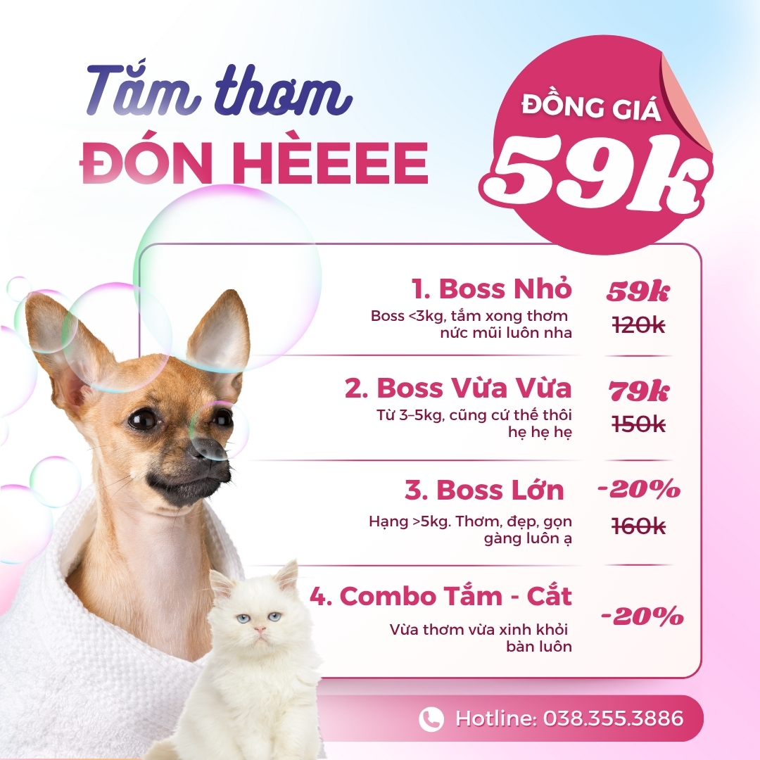 [🆕🇻🇳] Bệnh Viện Thú Y Vetcenter – Hà Nội 🐶🦜 Top1Pets 🐱🐠  TẮM THƠM ĐÓN HÈ — CHỈ TỪ 59K
Boss sạch thơm, ba mẹ nhẹ lòng, giá thì “iu” xỉu luôn nha!BẢNG GIÁ SIÊU MỀM:
Boss 5kg: Giảm hẳn 20% luôn áCOMBO ƯU  , shares-2✔️ , likes-16❤️️ , date-2025-07-11 03:00:35🐶🐱🇻🇳🇻🇳🇻🇳📰🆕