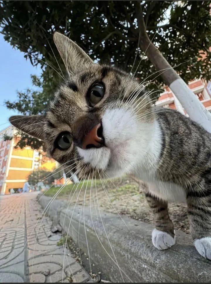 [🆕🇻🇳] Paws’ Smile – Pet Salon Đà Nẵng 🐶🦜 Top1Pets 🐱🐠 Nhìn gì nhìn gìi—————————————–
Paws’ Smile – Pet Salon Đà Nẵng
~~ 𝑪𝒉𝒊̉𝒏 𝑪𝒉𝒖 – 𝑪𝒉𝒂̂́𝒕 𝑳𝒖̛𝒐̛̣𝒏𝒈 – 𝑪𝒉𝒂𝒏 𝑪𝒉𝒖̛́𝒂 𝒀𝒆̂𝒖 𝑻𝒉𝒖̛𝒐̛𝒏𝒈 ~~
, shares-0✔️ , likes-1❤️️ , date-2025-07-19 23:00:52🐶🐱🇻🇳🇻🇳🇻🇳📰🆕