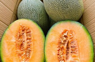 [🆕🇻🇳] Mơ – Fruits and Flowers – Set quà tặng trái cây và hoa tươi cao cấp 🍔 Top1Food  🍜 Dưa lưới mật loại 1 vừa giòn vừa ngọt Mơ mới về thêm. Mời Quý khách lên đơn ạDưa lưới tươi mát, không chỉ ngon miệng mà còn rất tốt cho sức khoẻ.Khách  , shares-3✔️ , likes-1❤️️ , date-2025-07-23 03:00:03🇻🇳🇻🇳🇻🇳📰🆕