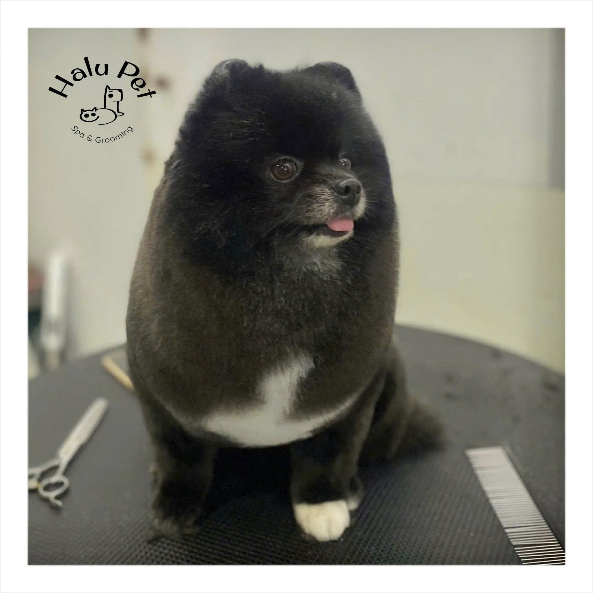 [🆕🇻🇳] Cát Vệ Sinh Cho Mèo 🐶🦜 Top1Pets 🐱🐠 𝐊𝐡𝐮𝐲𝐞̂́𝐧 𝐌𝐚̃𝐢 𝐂𝐚́𝐭 𝐌𝐞̀𝐨 𝐂𝐮̛̣𝐜 𝐒𝐨̂́𝐜 – 𝐂𝐡𝐢̉ 𝟐59𝐊/𝐓𝐚̉𝐢 tặng ngay 1 chai sữa tắm dorrikey trị giá 40k.
CÁT NHẬT ĐEN VỆ SINH CHO MÈO CÓ ƯU ĐIỂM GÌ?
– Thấm hút , shares-0✔️ , likes-2❤️️ , date-2025-07-16 18:50:17🐶🐱🇻🇳🇻🇳🇻🇳📰🆕