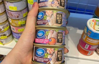 [🆕🇻🇳] Tiệm Chó Mèo An Yên 🐶🦜 Top1Pets 🐱🐠 Pate Snappy Tom Premium Cho Mèo – Lon 85g. Nhập Khẩu Từ Úc, Thịt Cá Thật 100%Pate Snappy Tom Premium là dòng pate cao cấp được nhập khẩu trực tiếp từ Úc, s , shares-0✔️ , likes-2❤️️ , date-2025-07-23 03:05:23🐶🐱🇻🇳🇻🇳🇻🇳📰🆕