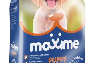 [🆕🇻🇳] TiHi Pet Shop – Spa & Hotel Thú Cưng 🐶🦜 Top1Pets 🐱🐠  Thức ăn hạt cho chó con Maxime Puppy– Là loại thức ăn hỗn hợp hoàn chỉnh cho mọi giống chó con từ 2 tháng tuổi đến 1 năm tuổiTrọng lượng: 1.5kg– C , shares-0✔️ , likes-0❤️️ , date-2025-07-27 03:01:48🐶🐱🇻🇳🇻🇳🇻🇳📰🆕