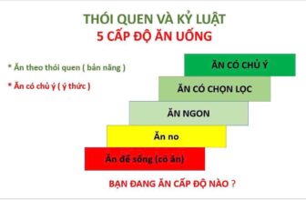 [🆕🇻🇳] GOFIT – Ngọc Lâm Long Biên – HỆ THỐNG PHÒNG TẬP DÀNH RIÊNG CHO NỮ  🧘 Top1Yoga 🤸🏻‍♀️  𝐁𝐀̣𝐍 Đ𝐀𝐍𝐆 𝐀̆𝐍 𝐎̛̉ 𝐂𝐀̂́𝐏 Đ𝐎̣̂ 𝐍𝐀̀𝐎?𝟓 𝐂𝐀̂́𝐏 Đ𝐎̣̂ 𝐀̆𝐍 𝐔𝐎̂́𝐍𝐆 – 𝐍𝐇𝐈̀𝐍 𝐋𝐀̣𝐈 Đ𝐄̂̉ 𝐓𝐇𝐀𝐘 Đ𝐎̂̉𝐈 𝐕𝐈̀ 𝐒𝐔̛́𝐂 𝐊𝐇𝐎𝐄̉ 𝐂𝐀̉ 𝐆𝐈𝐀 Đ𝐈̀𝐍𝐇𝟏. 𝐀̆𝐍 Đ𝐄̂̉ 𝐒𝐎̂́𝐍𝐆 (𝐂𝐎́ 𝐀̆𝐍 𝐋𝐀̀  , shares-0✔️ , likes-0❤️️ , date-2025-07-24 15:57:00🇻🇳🇻🇳🇻🇳📰🆕