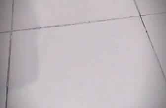 [🆕🇻🇳] Thú.Y Quỳnh Anh – Bán sỉ lẻ các loại vật tư, trang thiết bị, thuốc thú y 🐶🦜 Top1Pets 🐱🐠 Fin sét phải gọi bằng điện thoại , shares-0✔️ , likes-0❤️️ , date-2025-07-26 18:45:24🐶🐱🇻🇳🇻🇳🇻🇳📰🆕