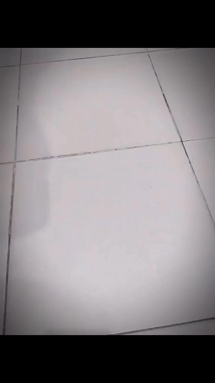 [🆕🇻🇳] Master Pet Grooming Spa & Hotel – Chăm sóc và làm đẹp cho thú cưng 🐶🦜 Top1Pets 🐱🐠 Em xinh em đẹp lung linh
, shares-1✔️ , likes-0❤️️ , date-2025-07-26 23:49:09🐶🐱🇻🇳🇻🇳🇻🇳📰🆕