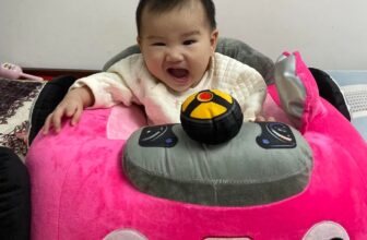 [🆕🇻🇳]  Shop Mẹ Sóc – Chuyên cung cấp gấu bông, đồ chơi cho bé sơ sinh, sỉ lẻ toàn quốc 🧑‍🧒❤️️👶⭐️ Ghế Tập Ngồi Cho Bé Từ 3,5 Tháng TuổiGhế tập giúp mẹ yên tâm khi bé mới biết ngồi
• Giai đoạn đầu đời, bé dễ bị ngã do chưa vững
• Đỡ lưng và giữ tư th , shares-0✔️ , likes-11❤️️ , date-2025-07-28 16:27:54🇻🇳🇻🇳🇻🇳📰🆕