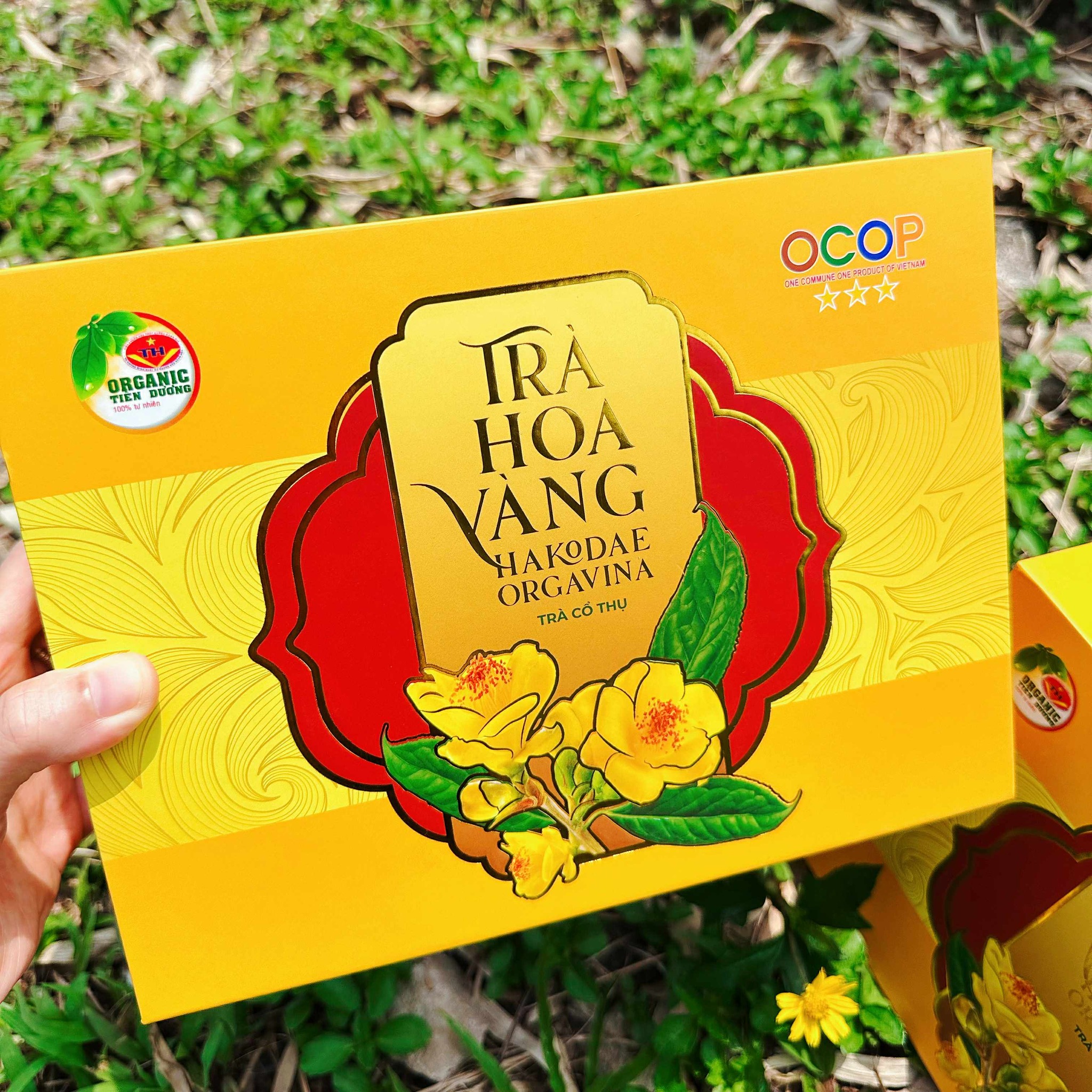 [🆕🇻🇳] Indayroi.vn – IN GÌ CŨNG CÓ – Giải pháp in ấn toàn diện – In gì cũng có – In đa chất liệu 🎨 Top1Designs ✨   BAO BÌ HỘP CỨNG TRÀ HOA VÀNG – TÔN VINH VẺ ĐẸP CỦA DƯỢC LIỆU VIỆT! 
Trà hoa vàng – “Ngọc quý” của núi rừng Tam Đảo – muốn xứng tầm phải được đặt trong một , shares-1✔️ , likes-1❤️️ , date-2025-07-31 03:00:15🇻🇳🇻🇳🇻🇳📰🆕
