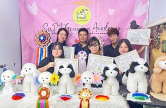 [🆕🇻🇳] Su PetShop – Đào Tạo Học Viên Cắt Tỉa Thú Cưng 🐶🦜 Top1Pets 🐱🐠  CHÚC MỪNG KHÓA 12 – SUPET GROOMING ACADEMY
Chúc mừng các em học viên khóa 12 đã hoàn thành xuất sắc Level C – Cắt tỉa chó mèo tại SuPet Grooming Academy! , shares-0✔️ , likes-2❤️️ , date-2025-08-02 20:05:53🐶🐱🇻🇳🇻🇳🇻🇳📰🆕