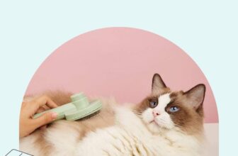 [🆕🇻🇳] 29K1 Pet Shop – Thức ăn, phụ kiện, spa và khách sạn thú cưng 🐶🦜 Top1Pets 🐱🐠  5 MẸO GIÚP PET CƯNG LUÔN THƠM THO – KHỎE MẠNH TẠI NHÀ
Ba mẹ không cần là chuyên gia mới có thể chăm thú cưng thật tốt. Hãy thử áp dụng những mẹo siêu đơn  , shares-0✔️ , likes-3❤️️ , date-2025-07-31 18:32:38🐶🐱🇻🇳🇻🇳🇻🇳📰🆕