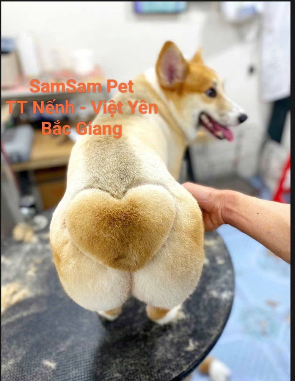 [🆕🇻🇳] Chi Store – Thời trang cho bé Yêu 🧑‍🧒❤️️👶⭐️  𝐇𝐀̀𝐍𝐆 𝐌𝐎̛́𝐈 𝐕𝐄̂̀ – 𝐌𝐄̣ 𝐎̛𝐈, 𝐂𝐇𝐎̂́𝐓 𝐋𝐈𝐄̂̀𝐍 𝐓𝐀𝐘!
BỘ ĐỒ ÁO PHÔNG + QUẦN JEAN CHỈ TỪ #100K – Đẹp mê ly, mặc là ghiền!
– Size 12kg đến 38kg – Mặc xinh, thoải , shares-0✔️ , likes-6❤️️ , date-2025-08-02 03:48:11🇻🇳🇻🇳🇻🇳📰🆕