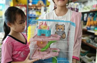 [🆕🇻🇳] PetXinh.net – Nhím kiểng, Hamster, Thỏ, Sóc 🐶🦜 Top1Pets 🐱🐠  Sứ mệnh của tụi mình là đem đến hạnh phúc cho mọi ngườiNụ cười hài lòng của các bạn là phần thưởng quý nhất của tụi mình đó
, shares-0✔️ , likes-1❤️️ , date-2025-09-03 01:37:41🐶🐱🇻🇳🇻🇳🇻🇳📰🆕