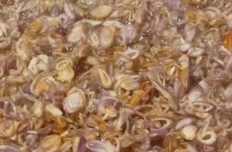 [🆕🇻🇳] BẾP CÔ LUYẾN – Đặc Sản Quảng Ngãi 🍔 Top1Food  🍜  Em đang Phi Hành Lý Sơn ạ
Anh chị Nào Ăn Nhắn Em Phi Luôn nè  , shares-0✔️ , likes-0❤️️ , date-2025-08-13 22:45:15🇻🇳🇻🇳🇻🇳📰🆕