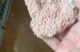 [🆕🇻🇳] Mango Pet – Sỉ Lẻ Cát Vệ Sinh Cho Mèo 🐶🦜 Top1Pets 🐱🐠 Cát đậu nành Homiespet hạt nhuyễn siêu vón, khử mùi tốt cỏn tiết kiệm nữa.
Có thể dùng cho các dòng máy dọn tự động hiện nay.#catmeo #cathatnhuyen #catda , shares-0✔️ , likes-0❤️️ , date-2025-08-13 16:33:23🐶🐱🇻🇳🇻🇳🇻🇳📰🆕