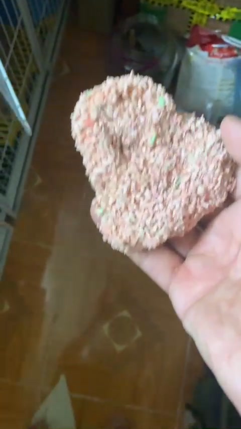 [🆕🇻🇳] Phòng Khám Thú Y Sky Pet 🐶🦜 Top1Pets 🐱🐠 Tỉnh mê là thấy bị thiếu 2 trái cà ạ
, shares-0✔️ , likes-3❤️️ , date-2025-08-13 03:27:31🐶🐱🇻🇳🇻🇳🇻🇳📰🆕