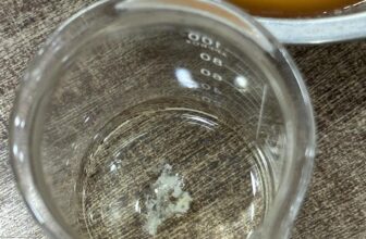 [🆕🇻🇳] Bệnh Viện Thú Y GoldenVet 🐶🦜 Top1Pets 🐱🐠 Phản ứng rivalta và dịch ổ bụng của bé mèo bị bệnh fip
————————————-
Bệnh Viện Thú Y GoldenVet.
Chuyên:
Khám, điều trị, tư vấn chó , shares-0✔️ , likes-4❤️️ , date-2025-08-13 18:06:00🐶🐱🇻🇳🇻🇳🇻🇳📰🆕