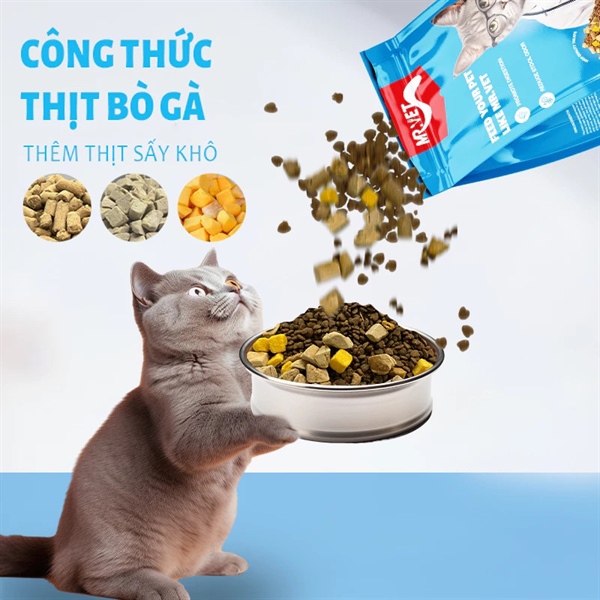 [🆕🇻🇳] Shop Thức Ăn Cho Mèo Tại Đà Nẵng – Cat Food Danang 🐶🦜 Top1Pets 🐱🐠  HẠT THỨC ĂN CHO MÈO MR. VET – CHĂM SÓC TOÀN DIỆN CHO MÈO CƯNG CỦA BẠN!
Mr. Vet là dòng thức ăn thú y cao cấp, được thiết kế với 5 công thức chuyên biệt,  , shares-0✔️ , likes-0❤️️ , date-2025-08-14 22:44:21🐶🐱🇻🇳🇻🇳🇻🇳📰🆕