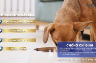 [🆕🇻🇳] V.O.M Việt Nam – Hạt thức ăn hỗ trợ trị liệu đa chức năng 🐶🦜 Top1Pets 🐱🐠 V.O.M RX Gastrointestina Low-Fat + Hypoallergenic là thức ăn hạt dinh dưỡng hỗ trợ trị liệu cho hệ tiêu hóa và chống dị ứng thực phẩm ở chó, có công dụng:
, shares-0✔️ , likes-2❤️️ , date-2025-08-14 00:52:47🐶🐱🇻🇳🇻🇳🇻🇳📰🆕