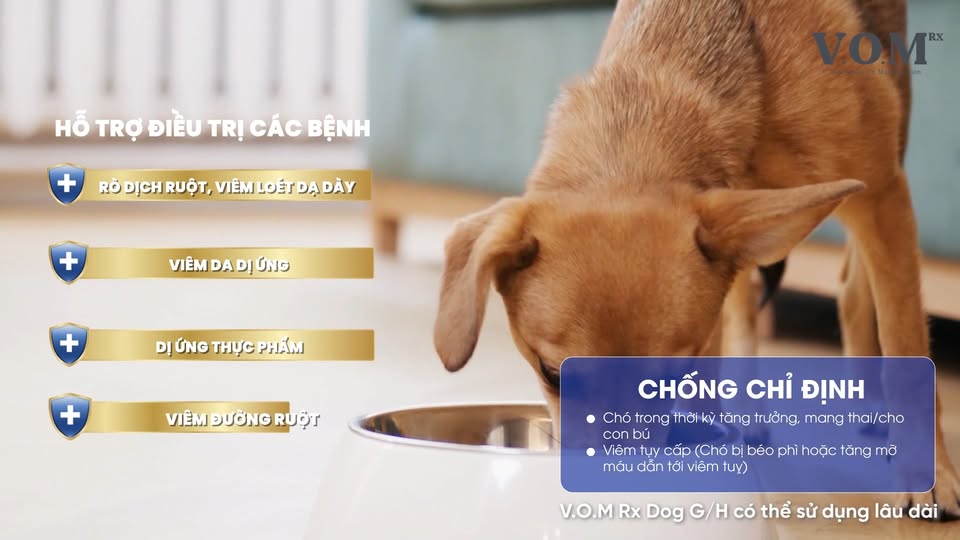 [🆕🇻🇳] V.O.M Việt Nam – Hạt thức ăn hỗ trợ trị liệu đa chức năng 🐶🦜 Top1Pets 🐱🐠 V.O.M RX Gastrointestina Low-Fat + Hypoallergenic là thức ăn hạt dinh dưỡng hỗ trợ trị liệu cho hệ tiêu hóa và chống dị ứng thực phẩm ở chó, có công dụng:
, shares-0✔️ , likes-2❤️️ , date-2025-08-14 00:52:47🐶🐱🇻🇳🇻🇳🇻🇳📰🆕