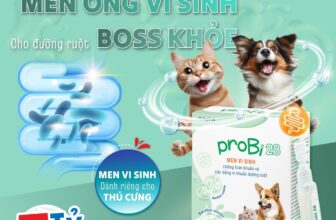 [🆕🇻🇳] GINGA PET – Cửa hàng và dịch vụ dành cho thú cưng 🐶🦜 Top1Pets 🐱🐠 PROBI 28 – Men vi sinh dùng cho chó và mèo với 5 tỷ lợi khuẩn vượt trộiCÔNG DỤNG:
Men vi sinh nước chứa các lợi khuẩn sống có vai trò như sau:
· Giảm ng , shares-0✔️ , likes-3❤️️ , date-2025-08-16 02:00:49🐶🐱🇻🇳🇻🇳🇻🇳📰🆕