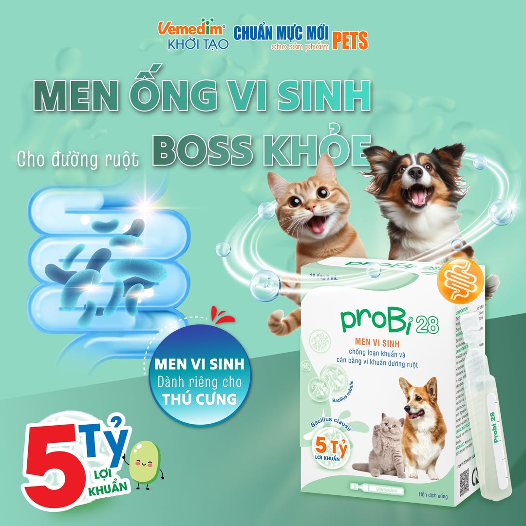 [🆕🇻🇳] NÂU PET SHOP – Chuyên sản xuất chuồng gỗ cho thú cưng, cattree, đồ chơi cho chó, mèo 🐶🦜 Top1Pets 🐱🐠 Thi công xong 1 góc vui chơi của mèo cho a khách, không gian căn hộ sang trọng, hài hoà.𝘐𝘯𝘣𝘰𝘹 𝘩𝘰𝘢̣̆𝘤 𝘢𝘥𝘥 𝘻𝘢𝘭𝘰 0909200695 đ𝘦̂̉ đ𝘶̛𝘰̛̣𝘤 𝘵𝘶̛ 𝘷𝘢̂́𝘯 𝑐ℎ𝑖 𝑡𝑖𝑒̂ , shares-0✔️ , likes-2❤️️ , date-2025-08-16 02:34:00🐶🐱🇻🇳🇻🇳🇻🇳📰🆕