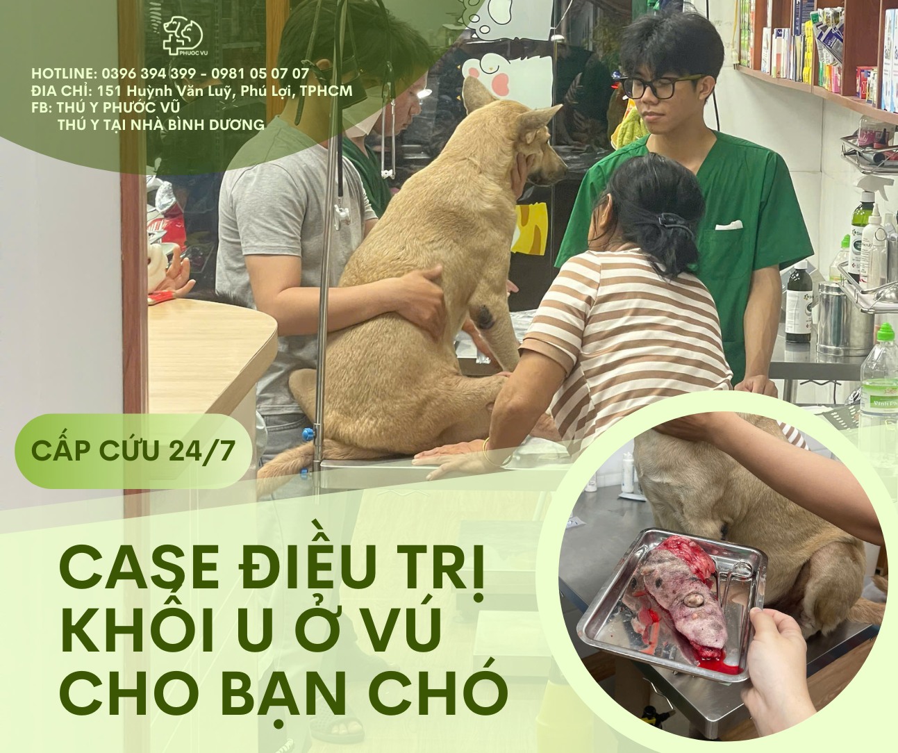 [🧸️🇻🇳] Thế giới xe điện trẻ em 🎈Top1Toys🧸️  Lô phát sáng cho khách làm dịch vụ , shares-0✔️ , likes-0❤️️ , date-2025-08-13 21:28:13🇻🇳🇻🇳🇻🇳📰🆕