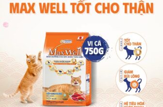 [🆕🇻🇳] Loyal Pet – Dịch Vụ Thú Cưng 🐶🦜 Top1Pets 🐱🐠  Hạt Max Well
Thiết kế mới – Tiện lợi – Nhỏ gọnĐịa chỉ cửa hàng: 70 Hoàng Ngân_Nhân Chính_Thanh Xuân_HN
hotline: (024)3.68.25.456 |  039.8668.791
Th , shares-1✔️ , likes-1❤️️ , date-2025-08-14 22:16:54🐶🐱🇻🇳🇻🇳🇻🇳📰🆕
